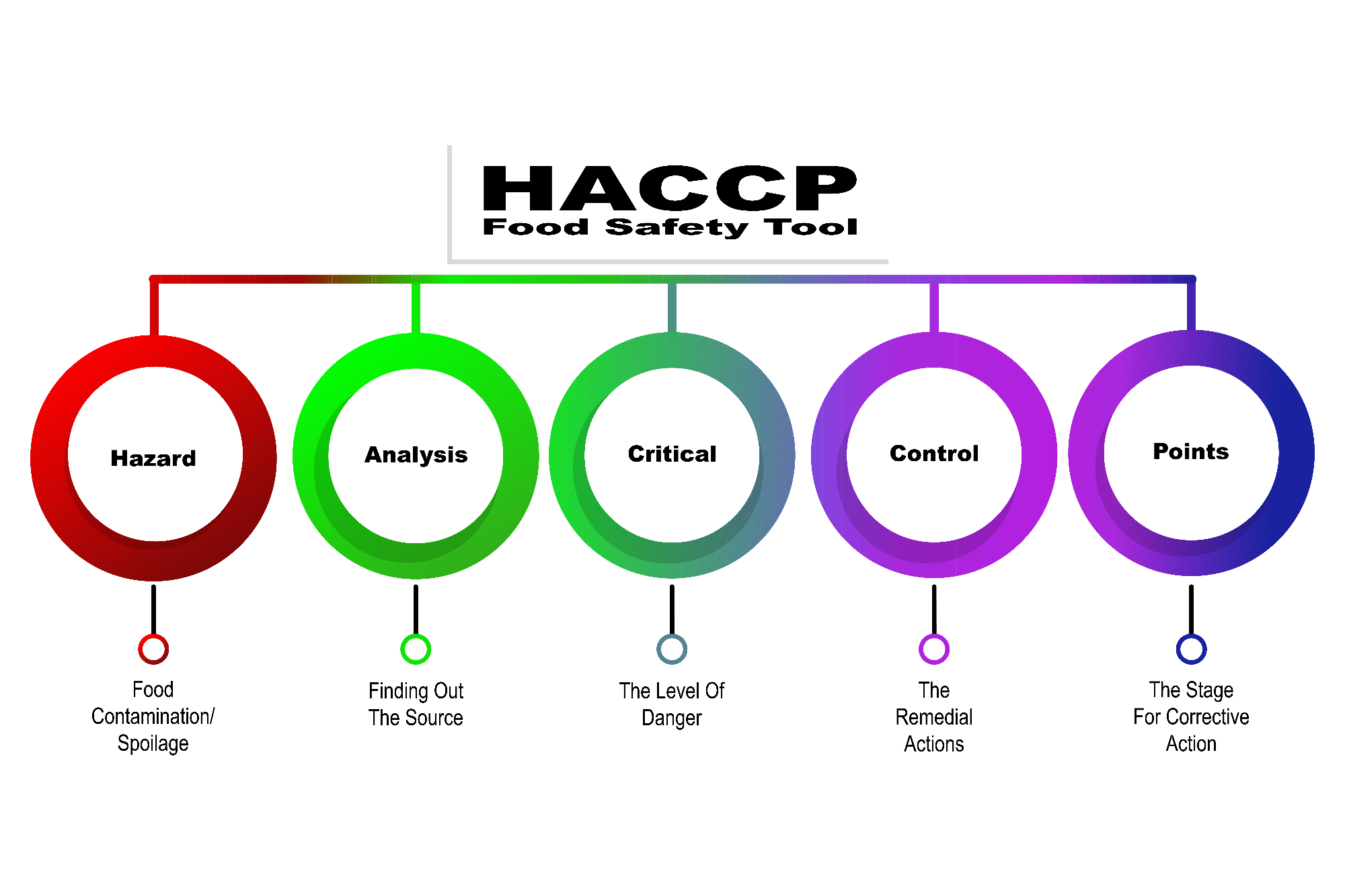 HACCP - sistem, ki mi je spremenil pogled na delo
